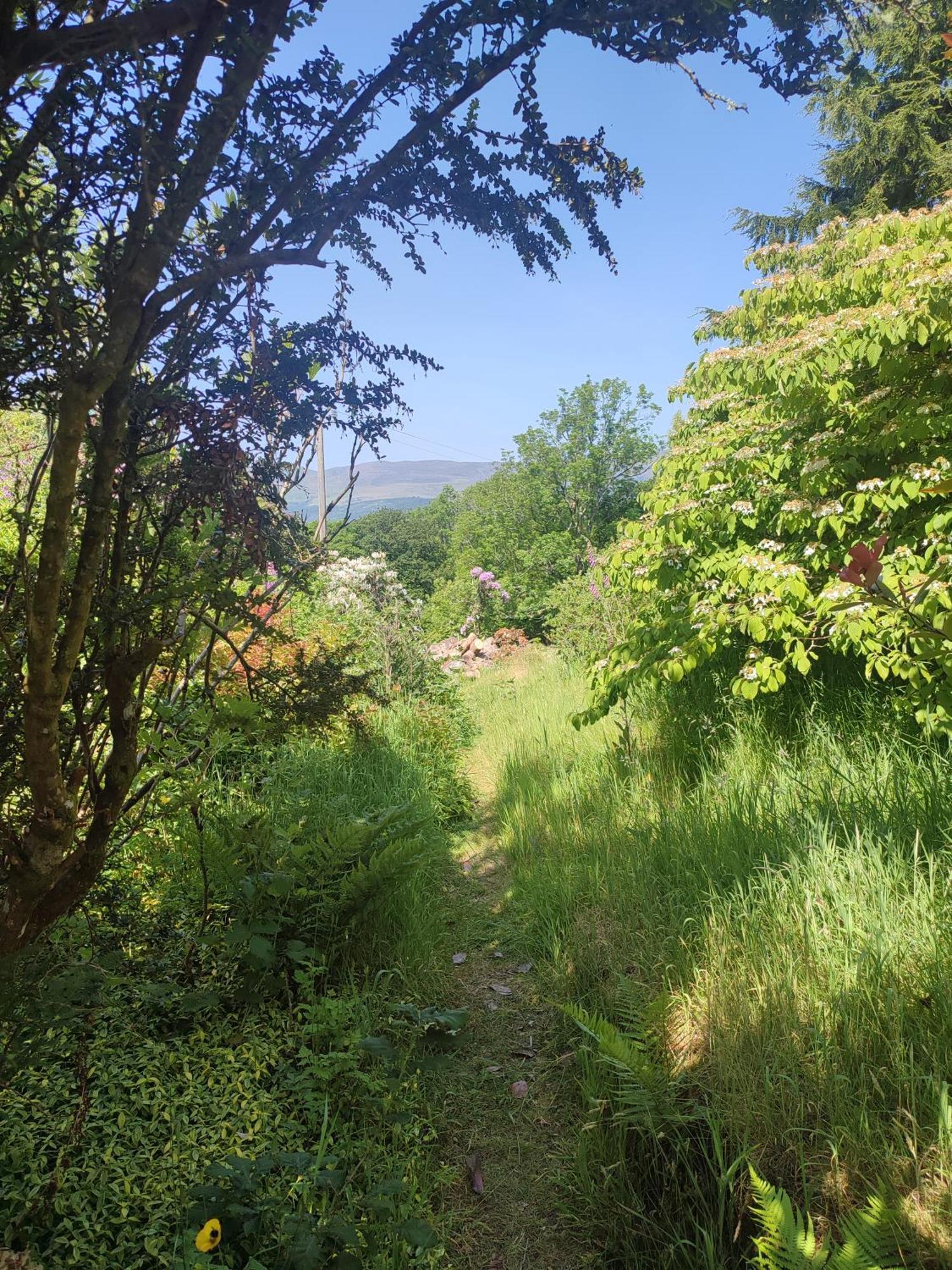 Y Cwtch - Panoramic Mountain Views Within Snowdonia'S National Park - 4X4 Recommended Villa Dolgellau Exterior foto