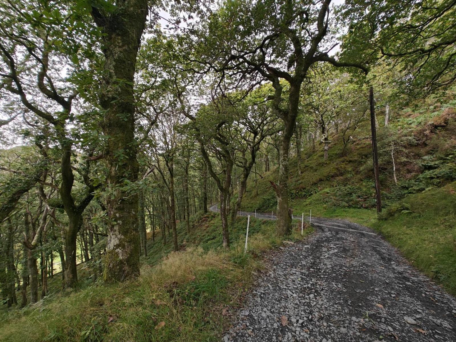 Y Cwtch - Panoramic Mountain Views Within Snowdonia'S National Park - 4X4 Recommended Villa Dolgellau Exterior foto